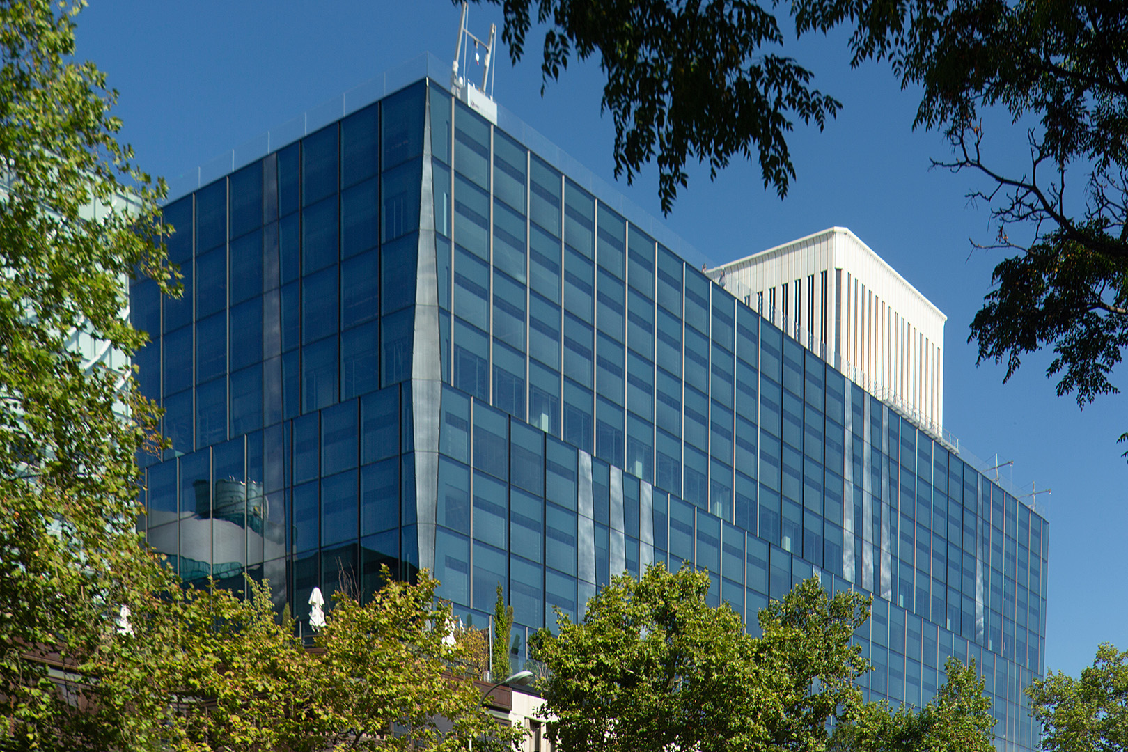 Castellana 85