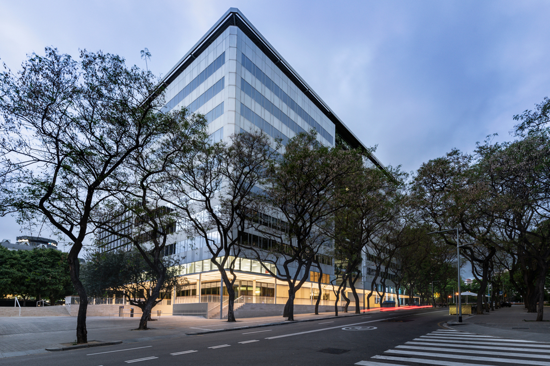 Diagonal 605
