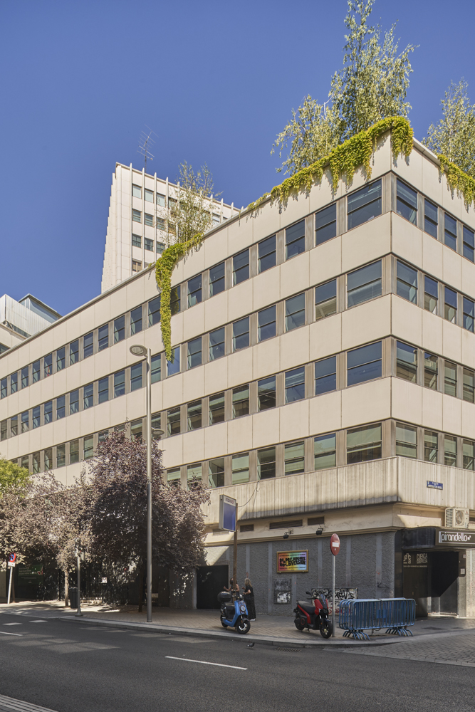 Ventura Rodríguez 7