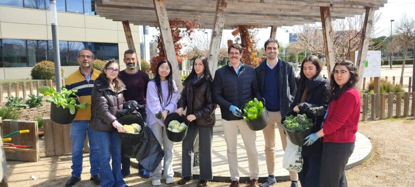 Huerto urbano inclusivo en un edificio de oficinas de Madrid con cultivos sostenibles que contribuyen a generar alimentos y promover la participación de los usuarios.